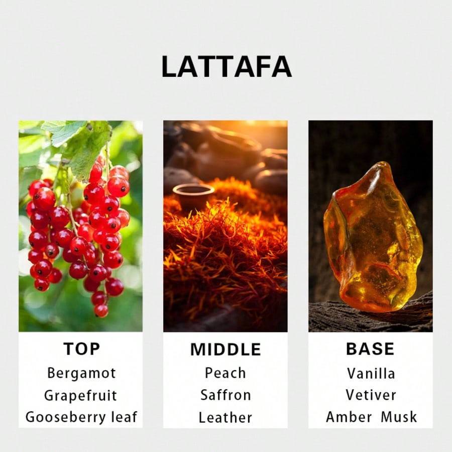 عطر هاياتي جولد إليكسير للرجال - مراجعة Perfume Long Fragrance وسعره